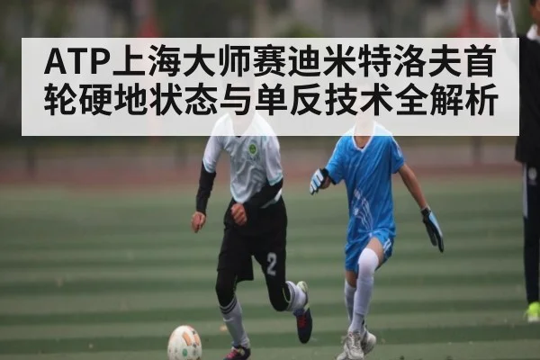 ATP上海大师赛迪米特洛夫首轮硬地状态与单反技术全解析