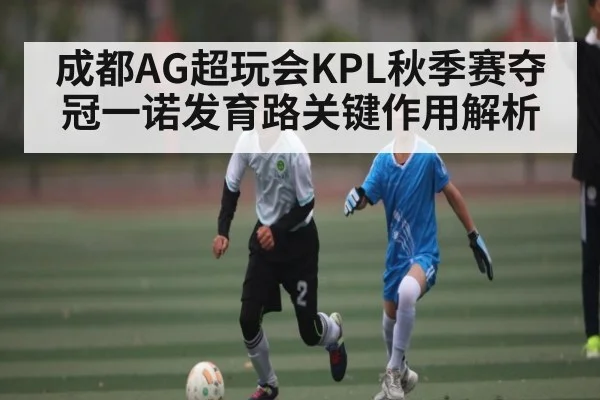 成都AG超玩会KPL秋季赛夺冠一诺发育路关键作用解析